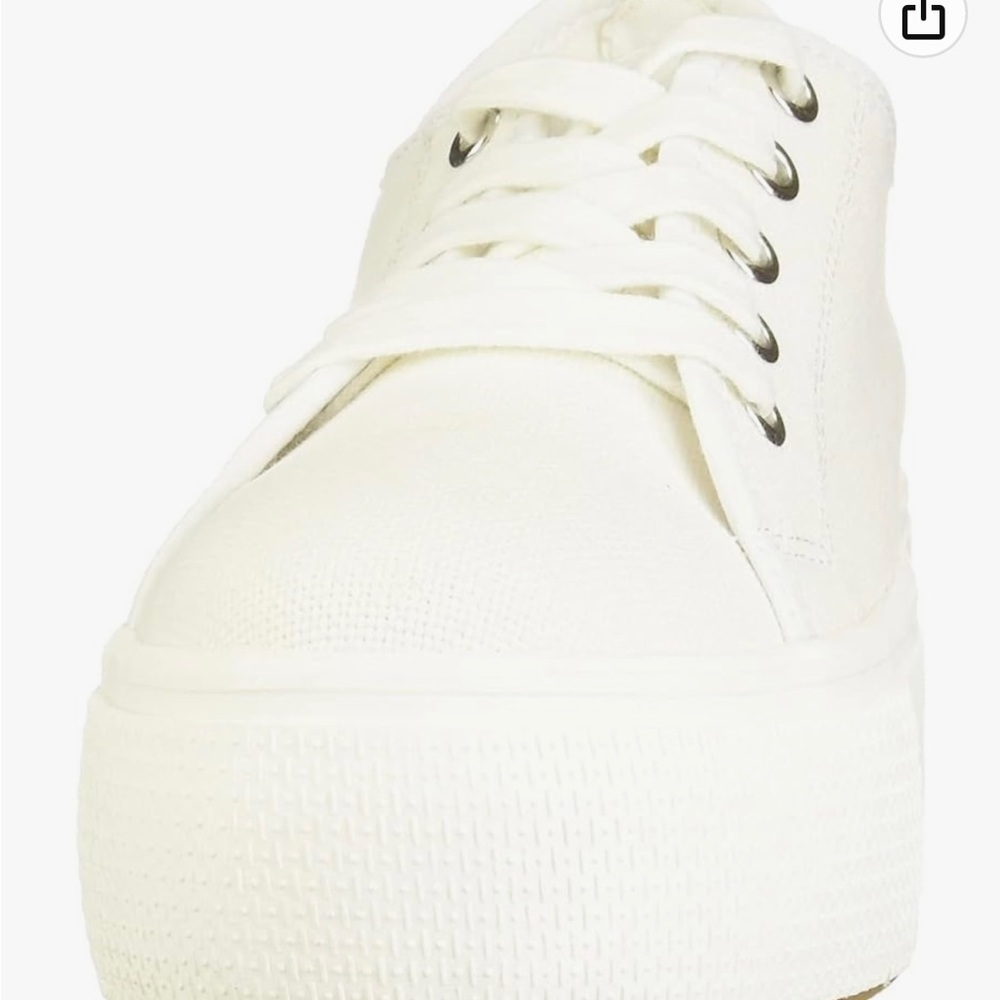 - Steve Madden - Women's Elore Sneaker